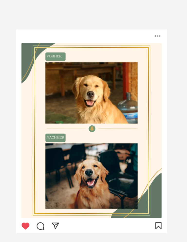 Social Media Post PawPoint Social Media Post PawPoint